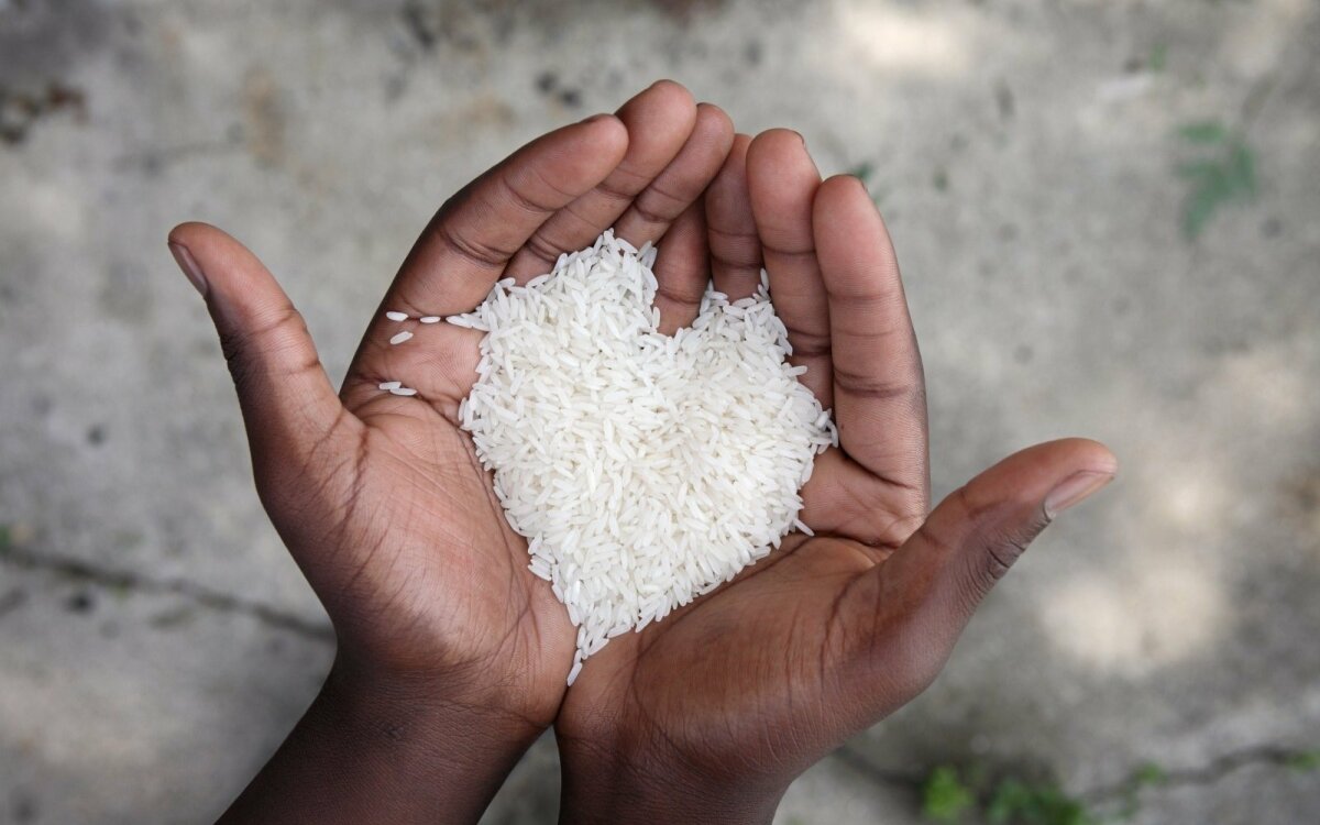 راه‌های تشخیص برنج مرغوب و نا مرغوب