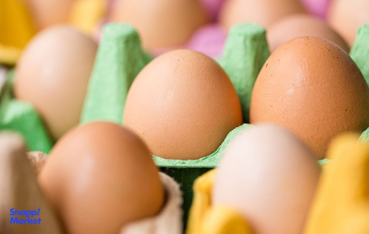 تخم مرغ، یک غذای کامل سرشار از آهن