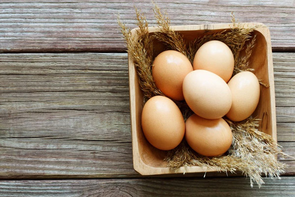 تخم مرغ منبع گلوتامین