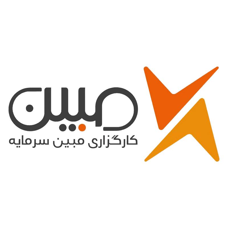 logo-mobin-sarmaye
